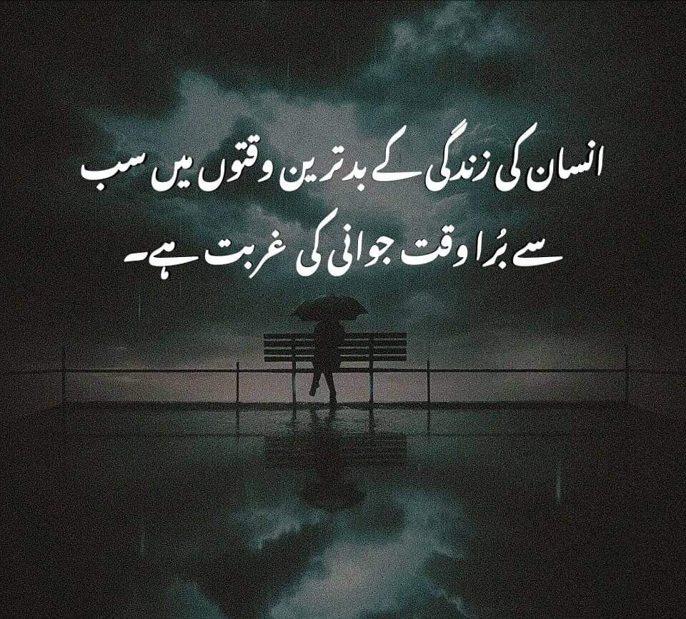 shoki (@shoki198) on Twitter photo 