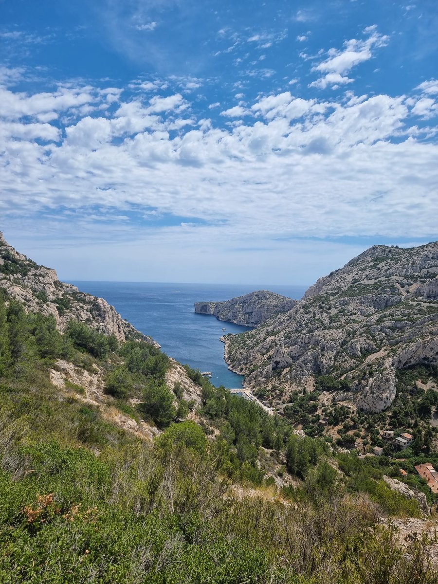 A walk in nature is the best thing we can do to our soul.I always try several times a year this mindful walks.The park des calanques in Marseilles is just stunning 
#soulful #forestbathing #forestlovers#parkdescalanques #nature#mindfulness #walking #walkinginnature nnarure#forest