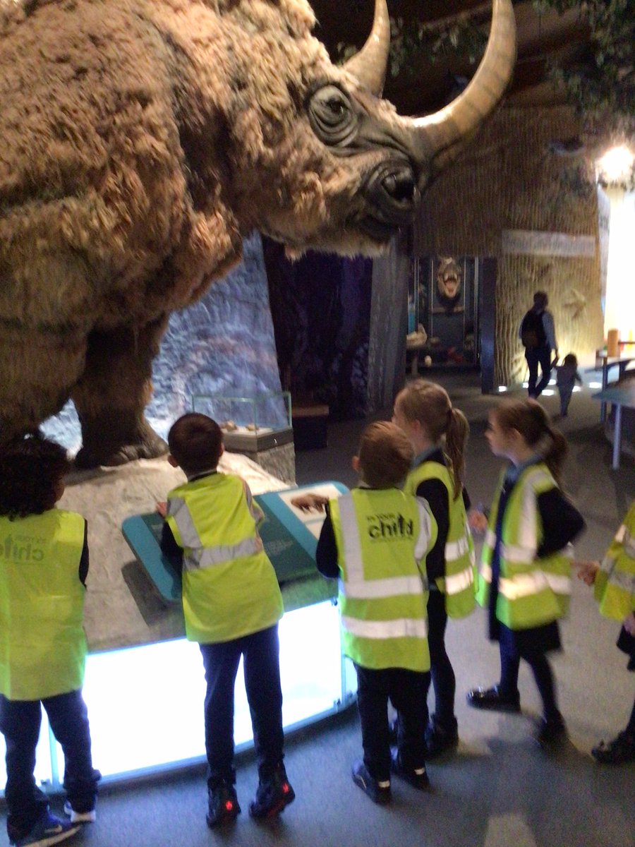 Y1 Blue Class-Beighton NI tweet media