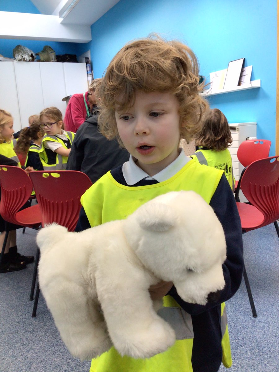 Y1 Blue Class-Beighton NI tweet media