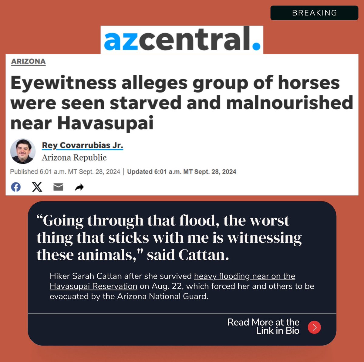 SAVE Havasupai Horses (@havasupaihorses) on Twitter photo 