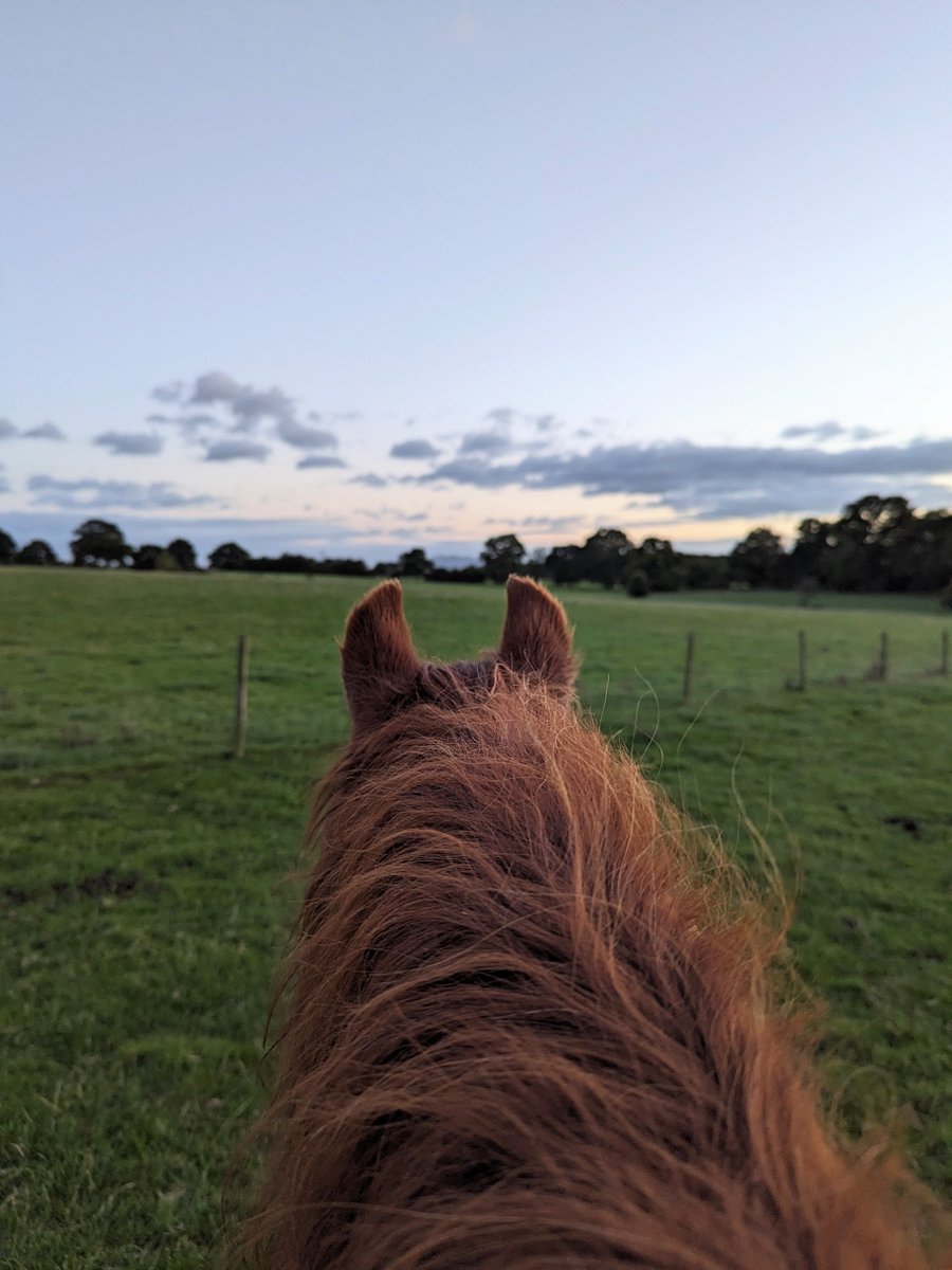A welcome view after stating at an ethics application all day yesterday 🤗 

Nothing beats fresh air and nature after a long day! ✨