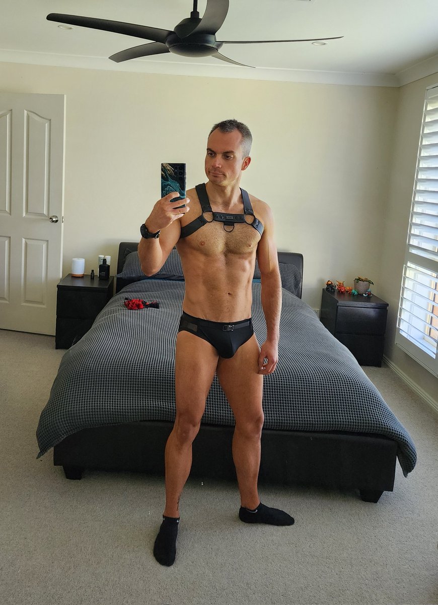 Speedo³ tweet media