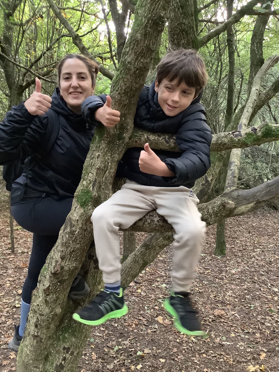 AvantiMeadows's tweet photo. Forest fun! We made a seesaw 😊 https://t.co/l4BD6P7Gyt