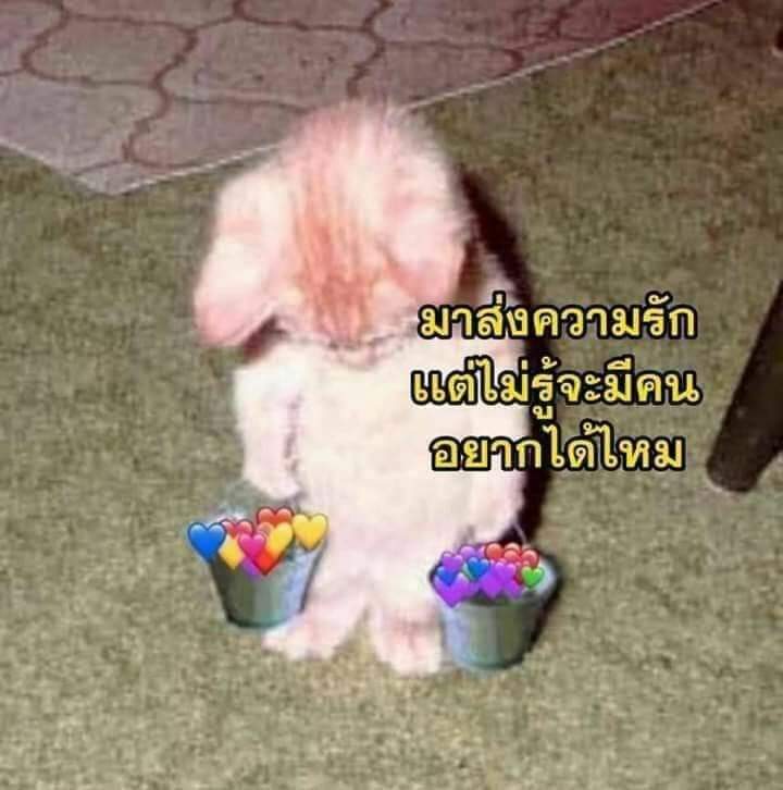 dear_is_simp's tweet photo. @Ruler_SENTINEL https://t.co/23j1AHHwXC