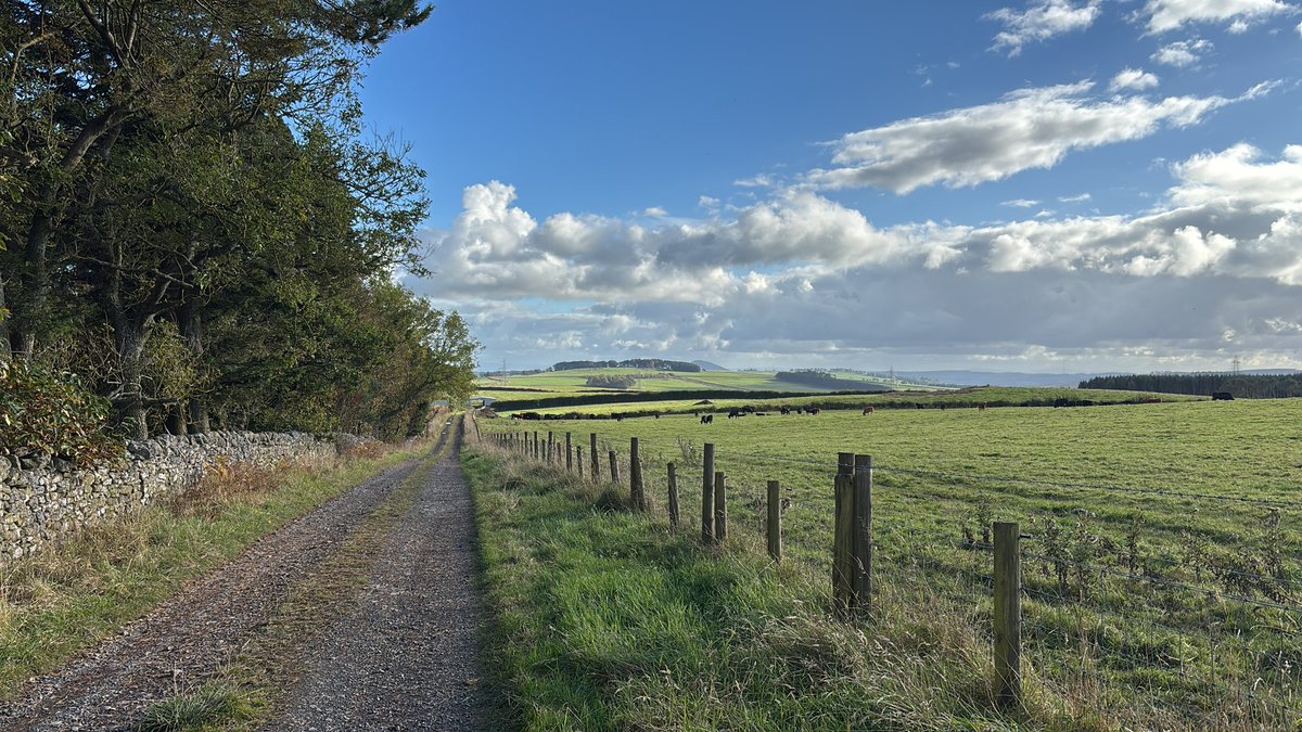 MGS D of E tweet media