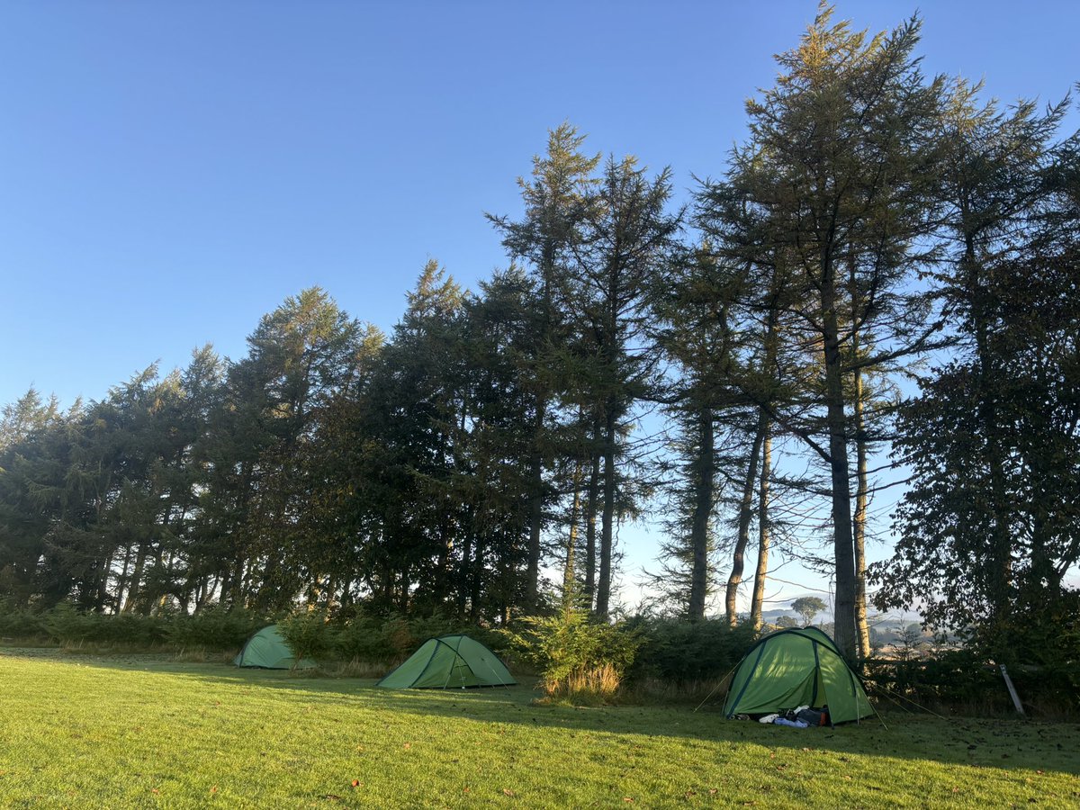 MGS D of E tweet media