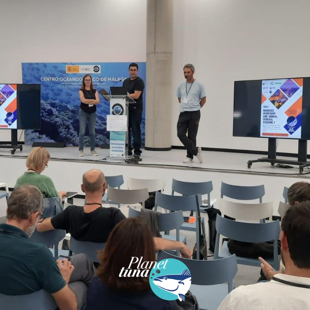 planettunaIEO's tweet image. Nuestro compañero Diego Álvarez-Berastegui ha coordinado un taller sobre los resultados del proyecto #TUNAWAVE en la Asamblea General de #Mongoos organizada por @IEO_Malaga