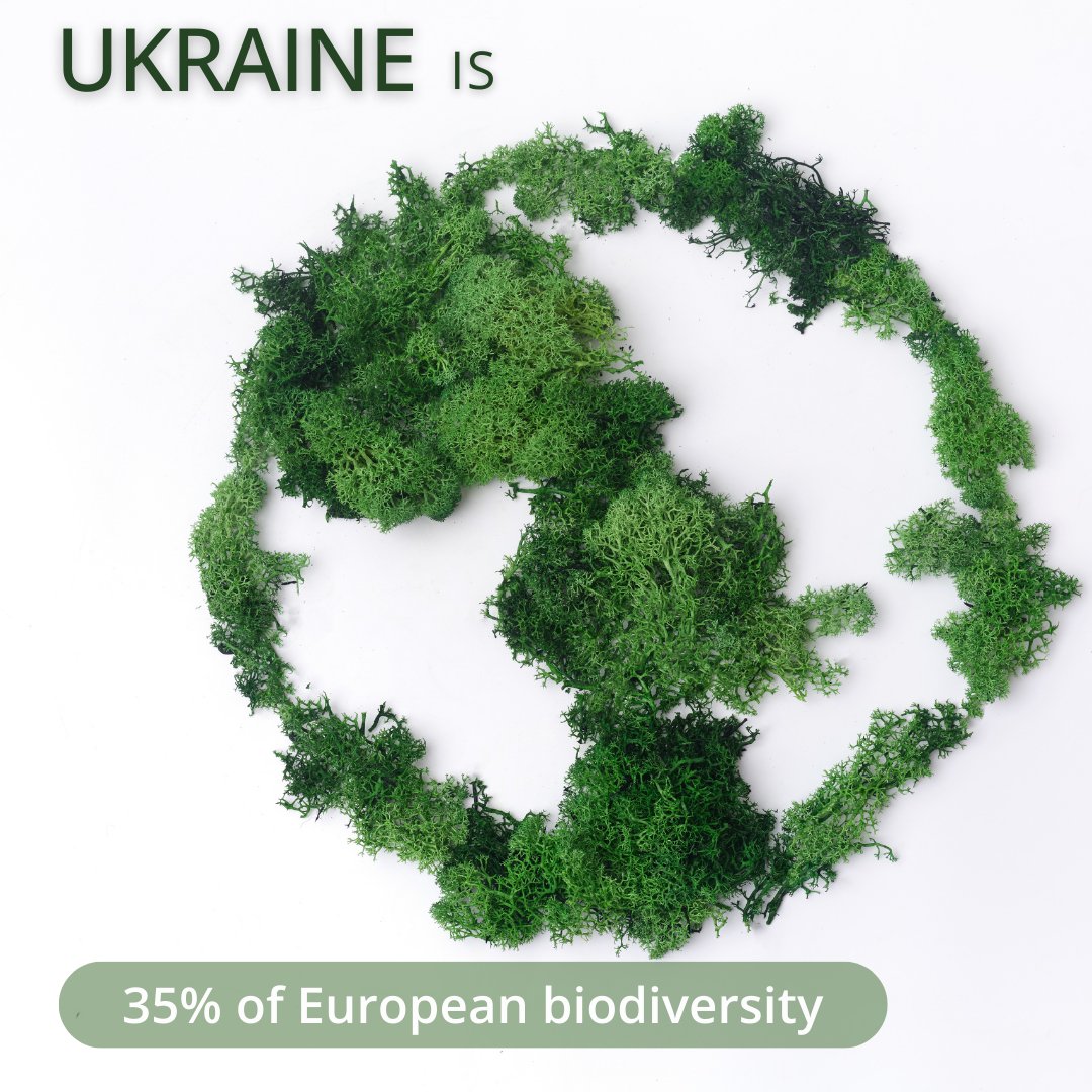 🇺🇦 #Ukraine, which occupies less than 6% of Europe's land area, hosts 35% of its #biodiversity. The country has a significant biodiversity potential and can be considered one of the most powerful reserves for the restoration of biodiversity in #Europe.