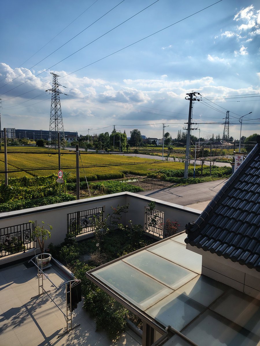 yangjiayuan's tweet photo. Autumn at hometown https://t.co/6bMeOXPTRT