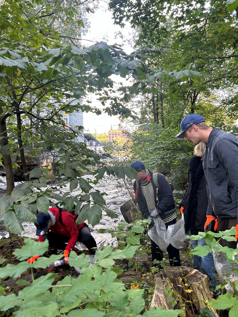 NL in Norway & Iceland tweet media