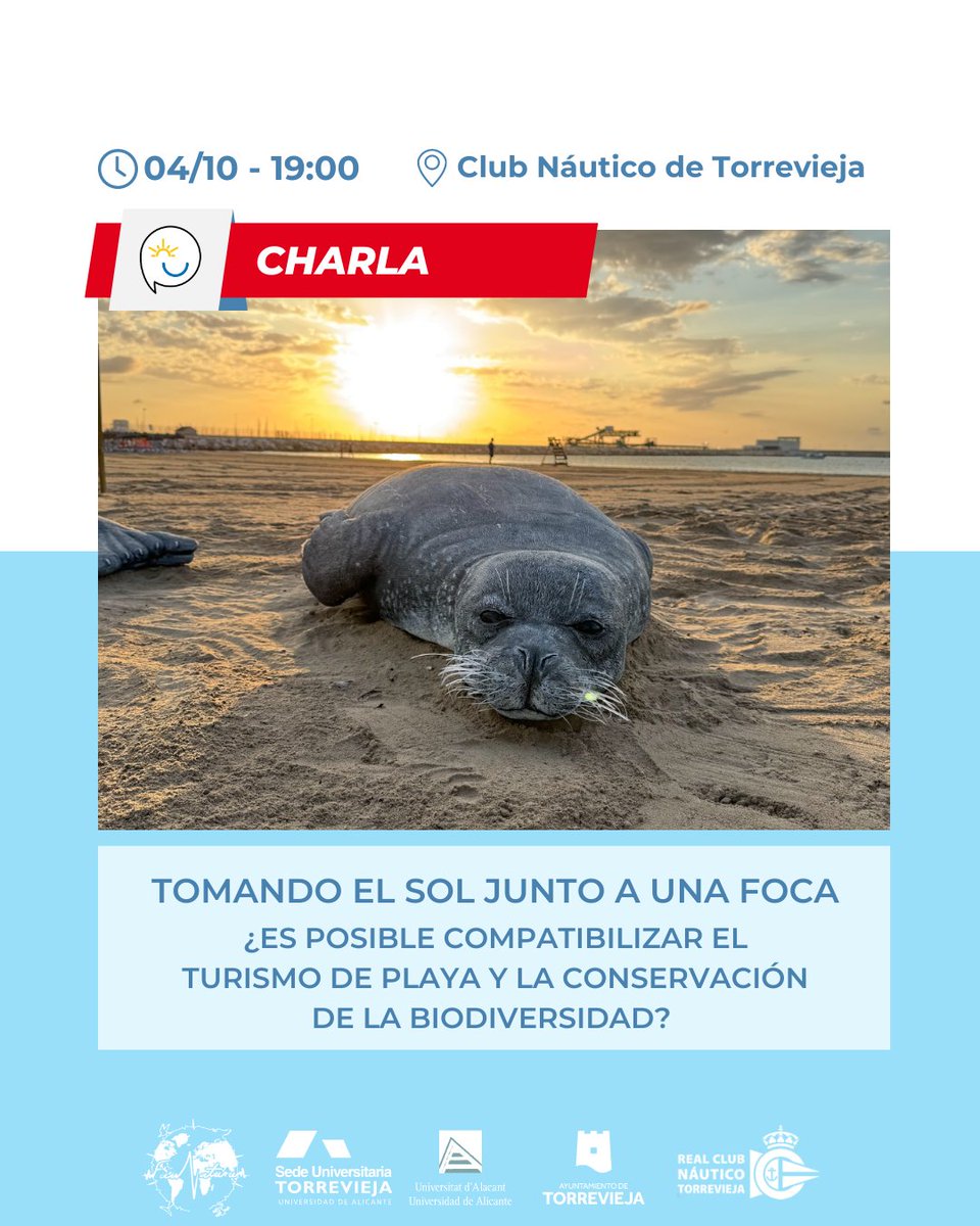 🌞🦭 ¿Tomar el sol junto a una foca? ¡Sí, es posible! 🌊🌴 El 4 de octubre a las 19:00 acompáñanos en el cierre de las jornadas con Ángel Dolón-Viejo, director general y representante de la Asociación Faunatura.
📅  4 de octubre
🕖 19:00
📍 Club Náutico de Torrevieja