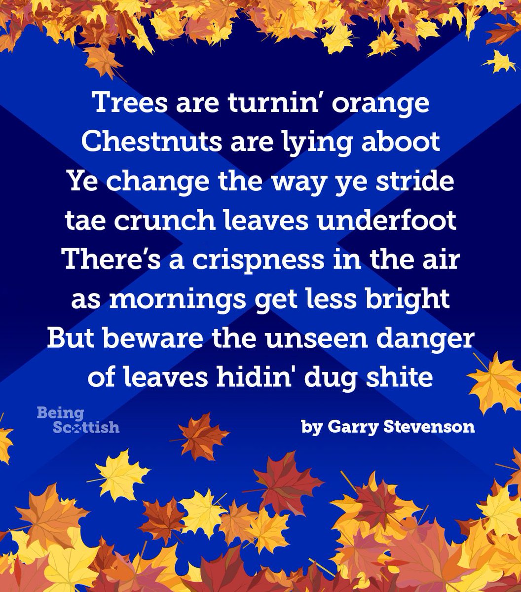 Being Scottish tweet media