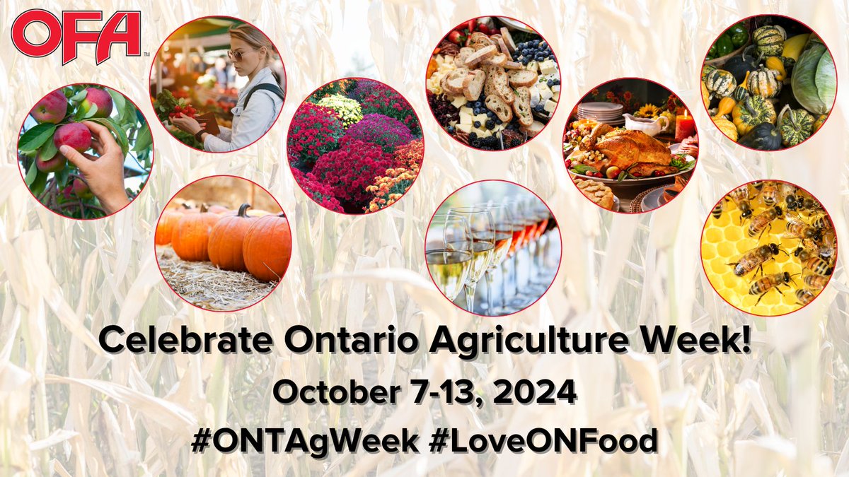 🚨The countdown to #ONTAgWeek is on! Mark your calendars to join us October 7-13 as we celebrate the bounty of high-quality foods our farmers produce, the hardworking people #ontag employs, the economic engine we fuel, &amp; the rural communities we support. Fill those plates with