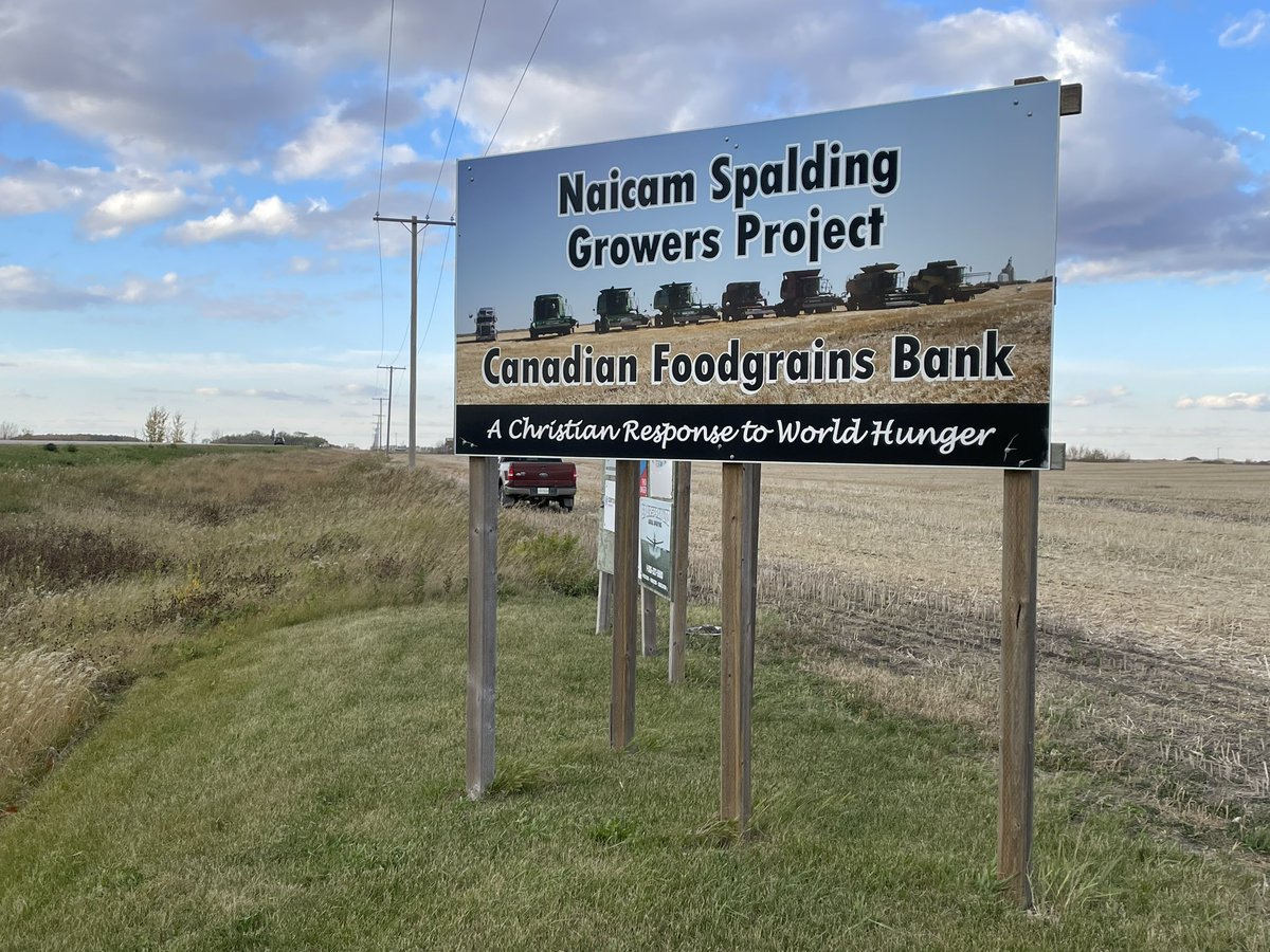 Mark Kuchuran tweet media