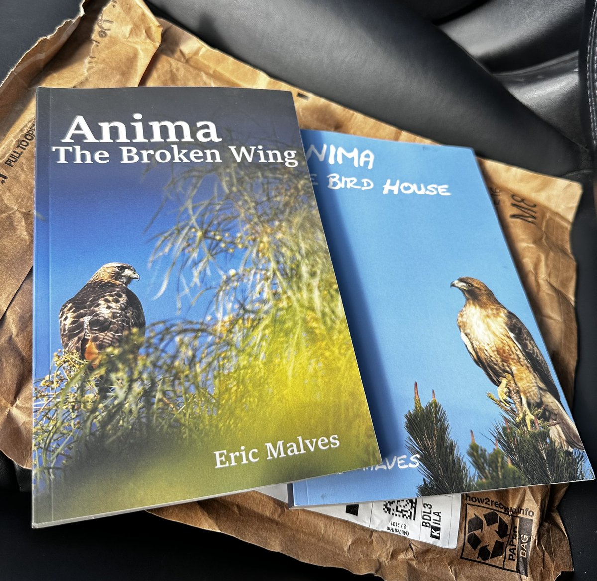 Eric Malves tweet media