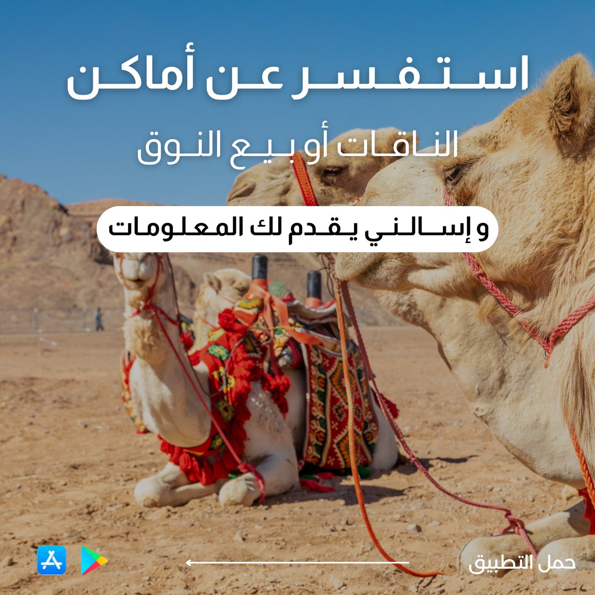 إسألني | ASALNY tweet media