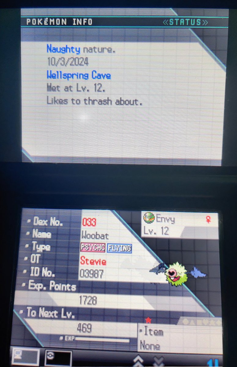 LEO 🍉 tweet media