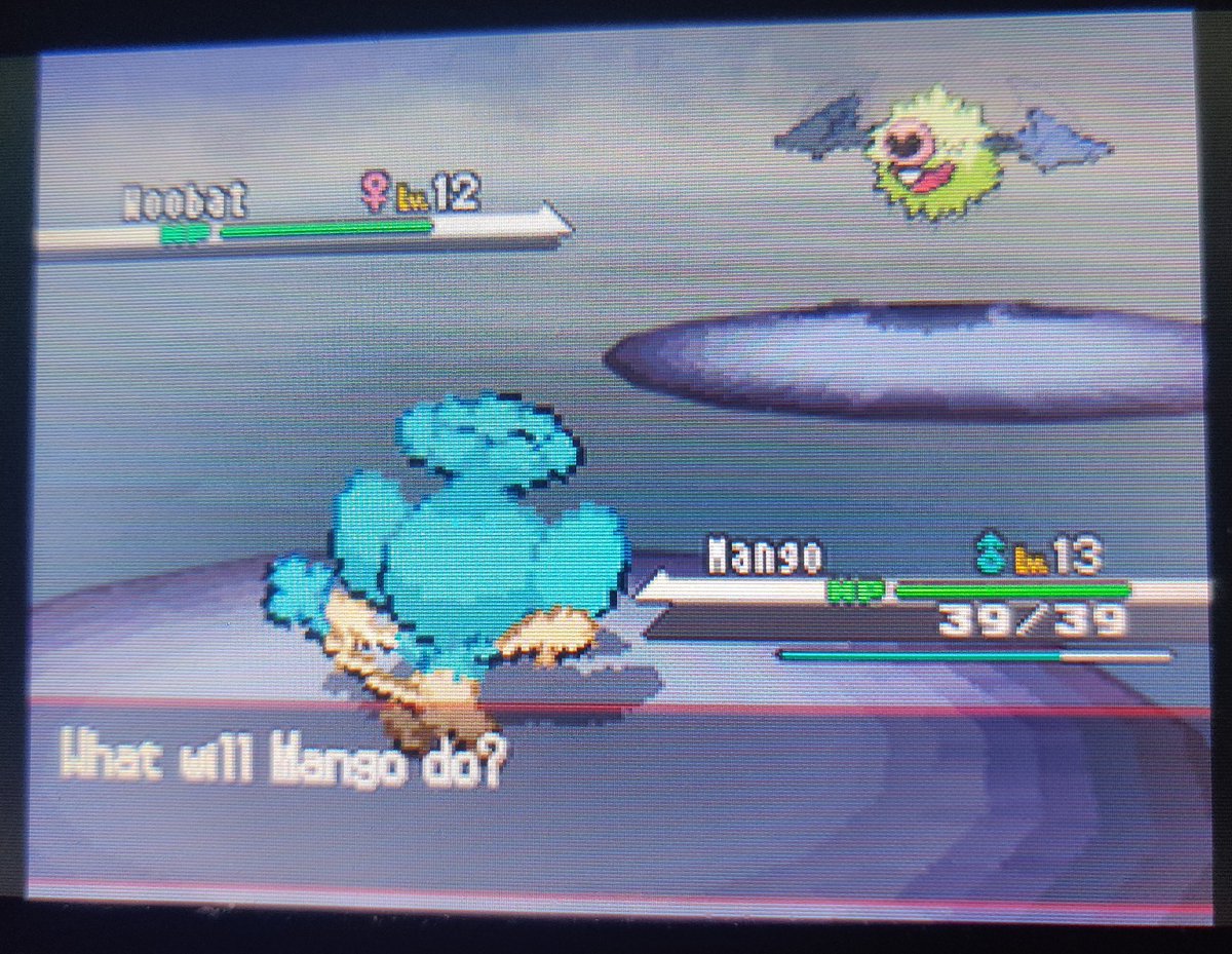 LEO 🍉 tweet media