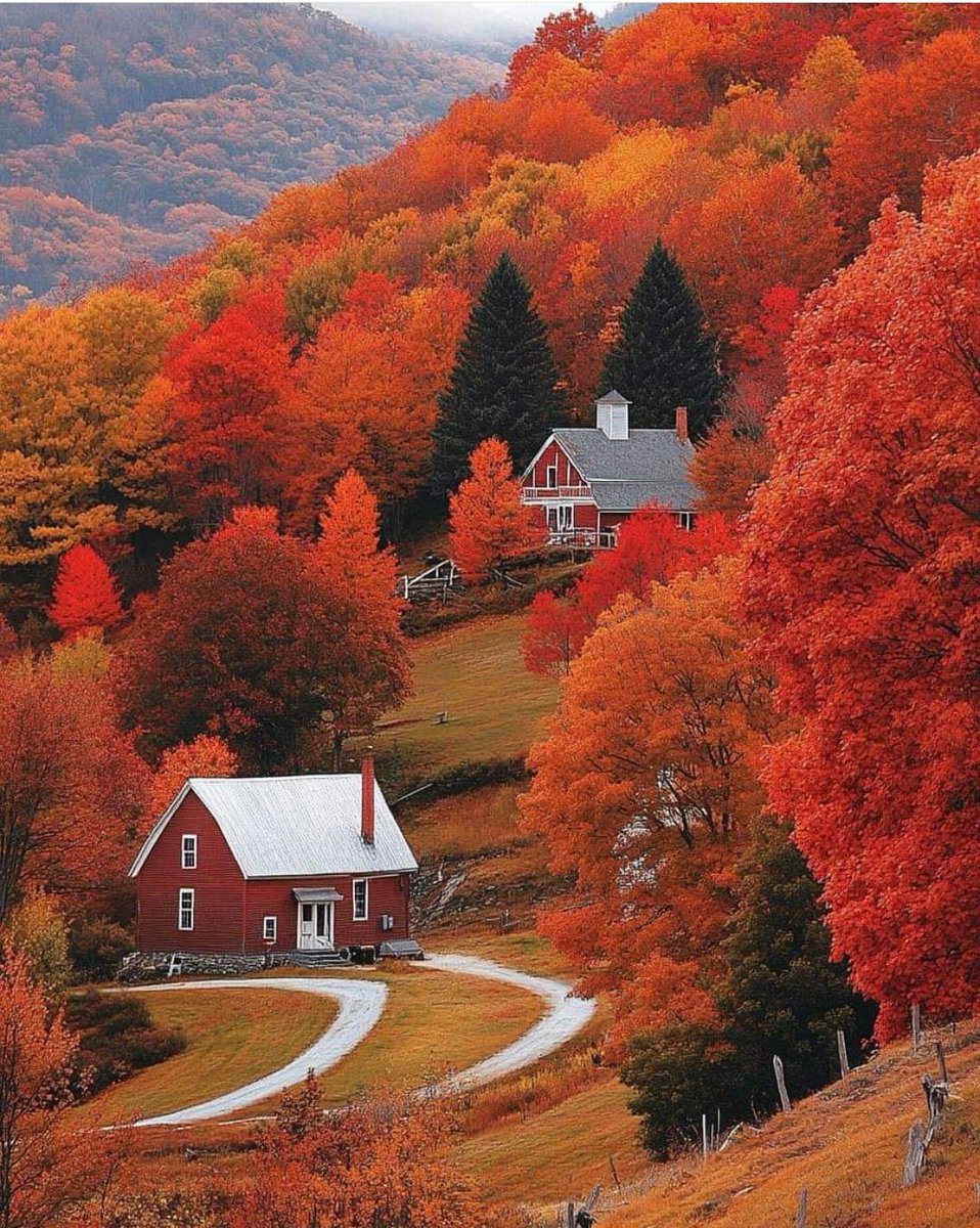 fatima01h's tweet photo. "Autumn is the most glamorous season of the year" 
I just love this season... 💞

Enjoy Autumn Evening Vibes.... https://t.co/m874b5UsTT