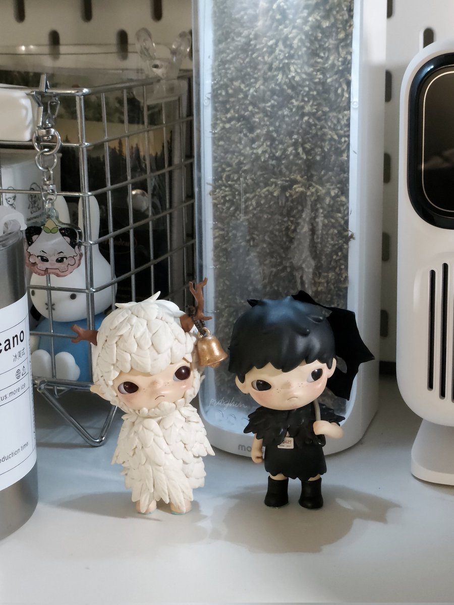 prdxjhvn's tweet photo. birdy &amp; fallen angel 형제 ! ໒꒱ https://t.co/CyZuWSsEhq