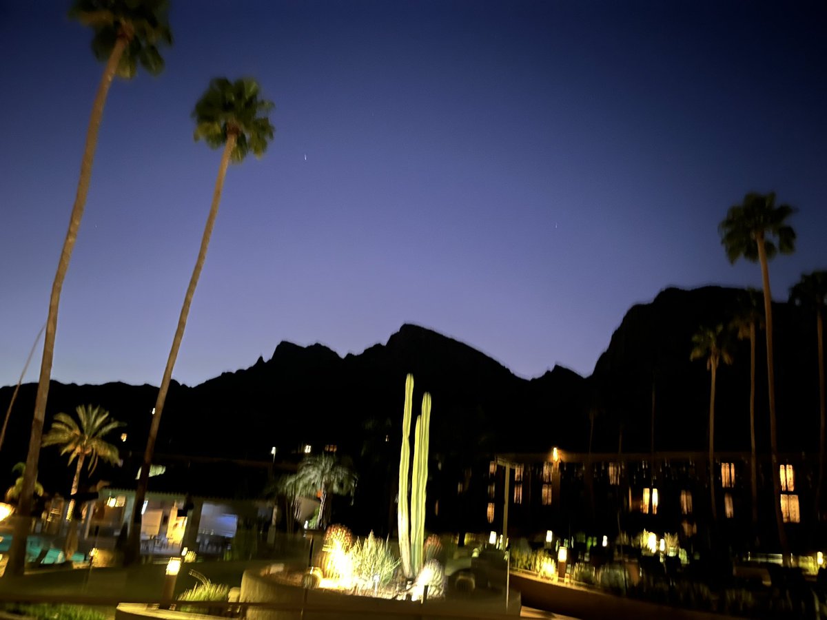 Lisa Tatonetti tweet media