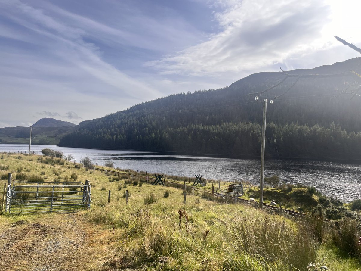 Donegal Railway…

Imagine the tourist attraction, as well as opening up the county. The old Glenties railway line at Finntown. ⁦<a href="/IntoTheWestRail/">Into The West</a>⁩ #Donegal #Tourists #Scenic #Green
