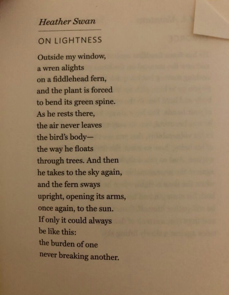 Joseph Fasano tweet media