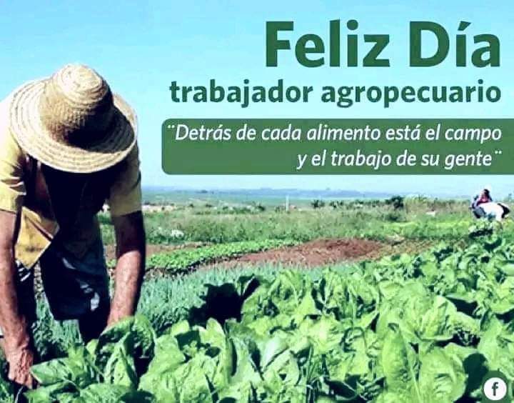 BreffeLopez's tweet photo. Cuba Vive su Historia. @MoaNickel1994 https://t.co/JqyBDjgby3