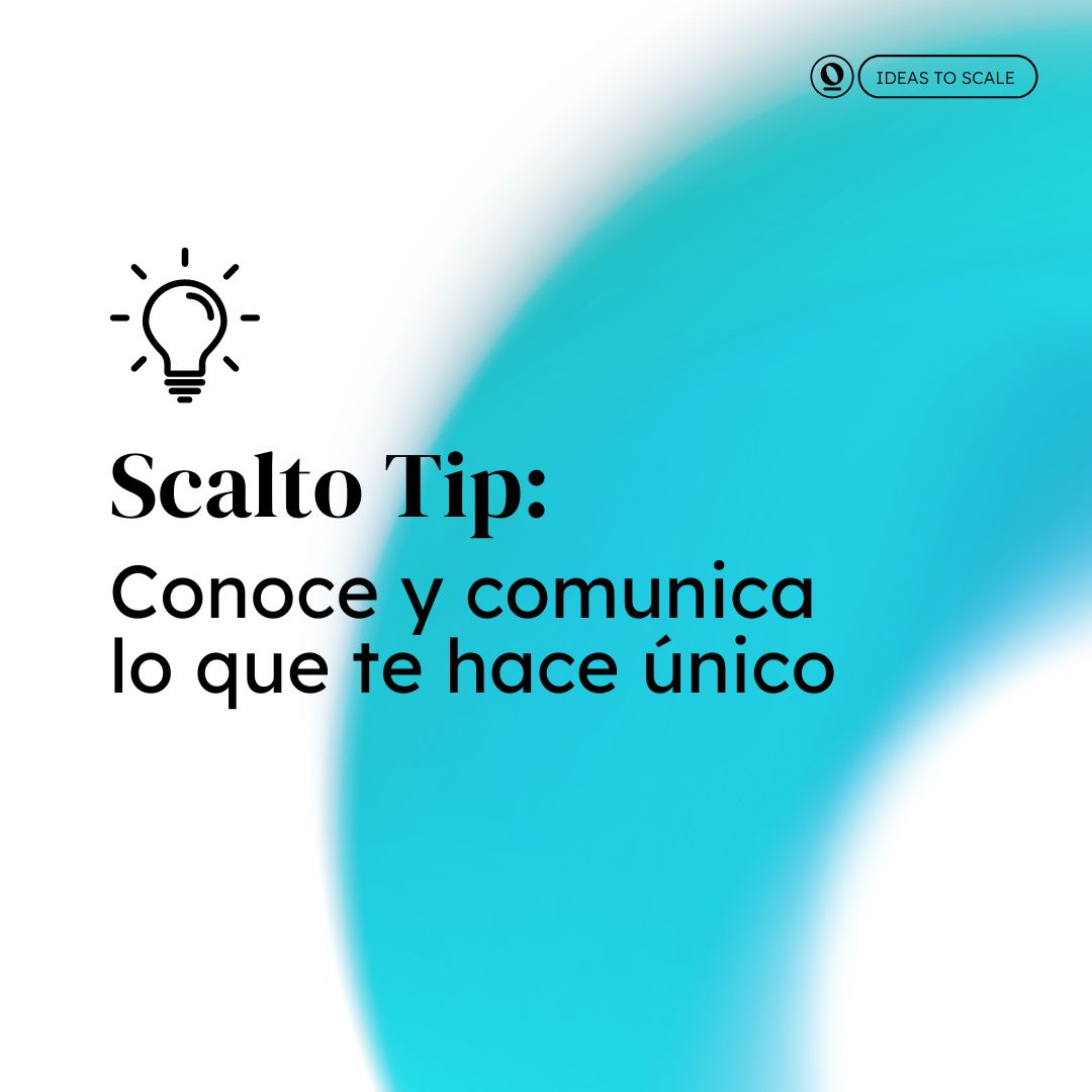 scaltoglobal tweet media