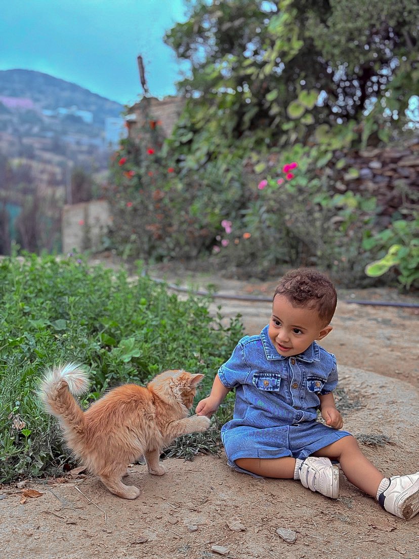 fofaa92's tweet photo. Love🩵🐈. https://t.co/FoRAT6GZM9