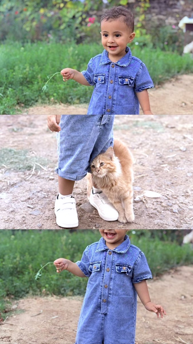 Love🩵🐈.