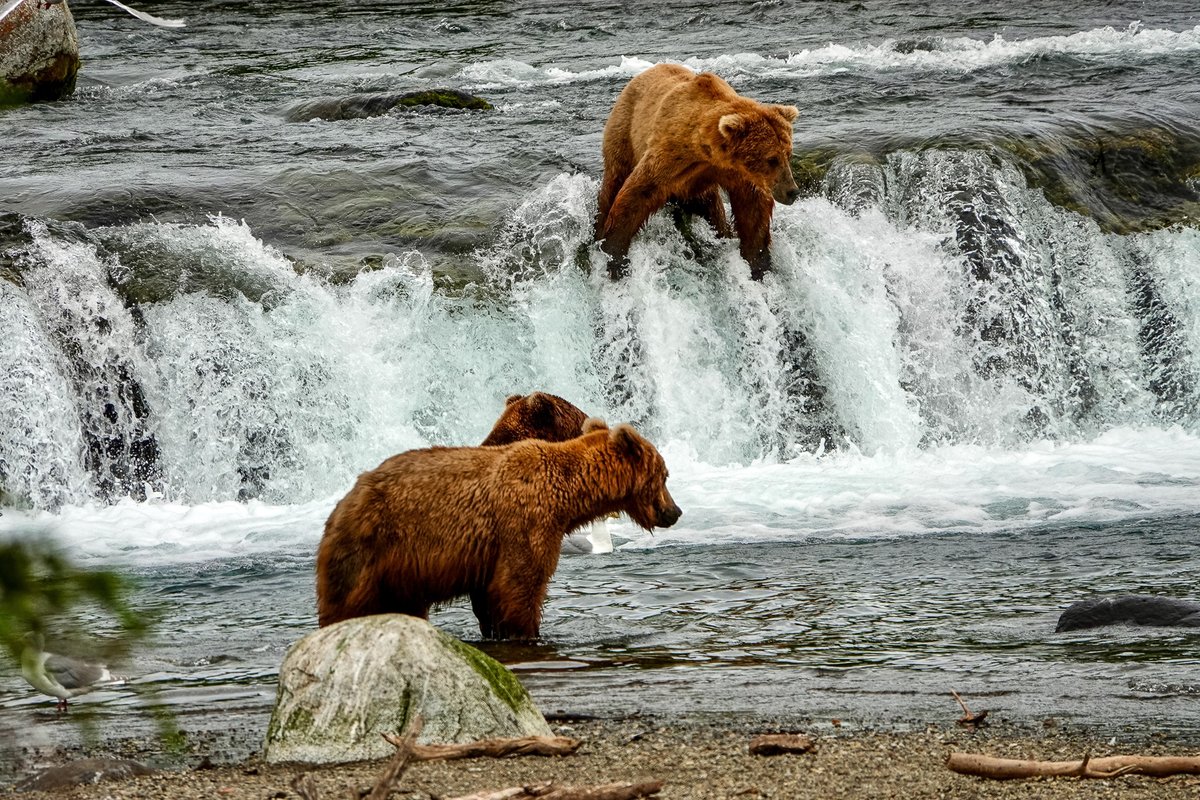 Hapag-Lloyd Cruises tweet media