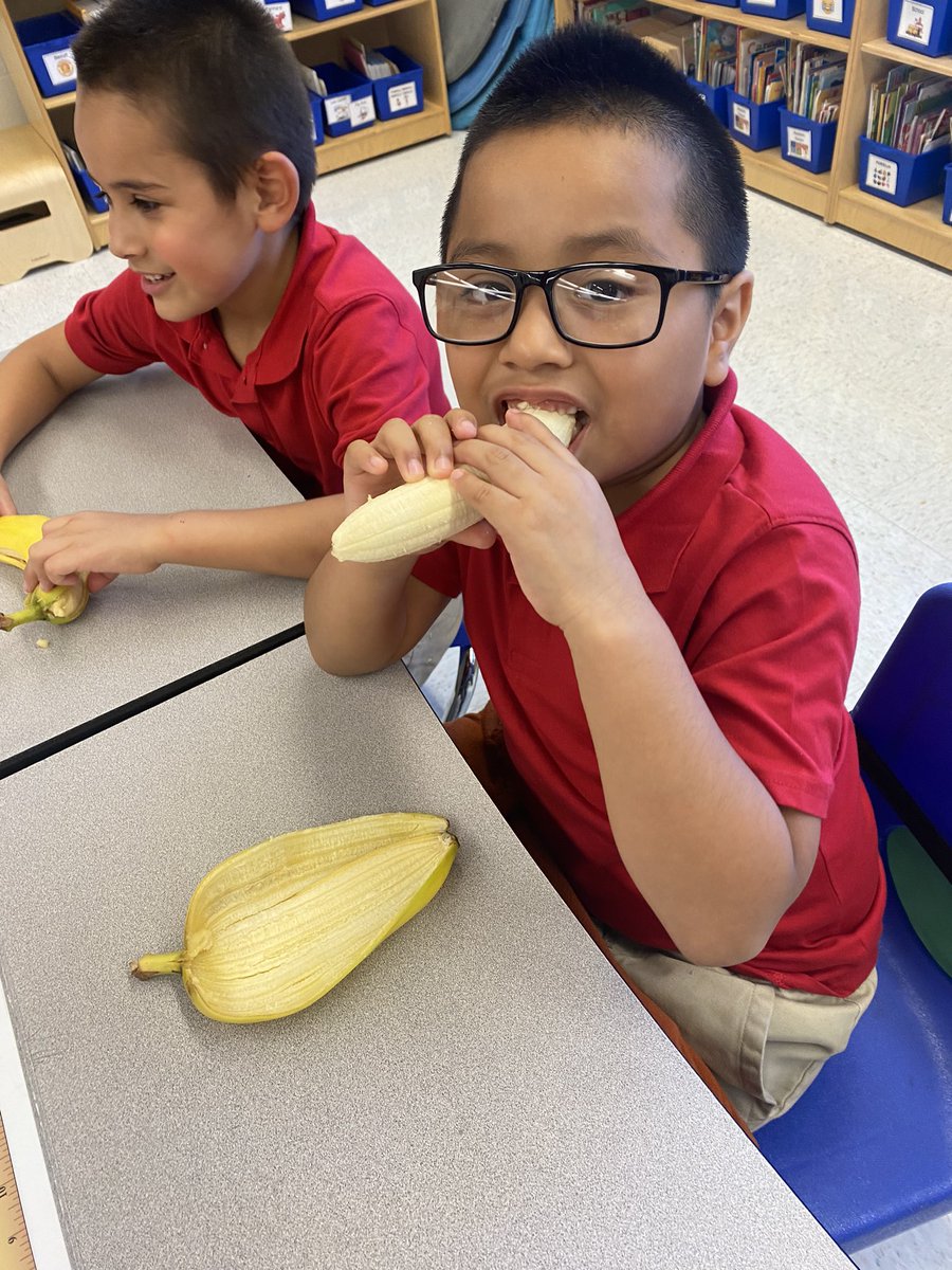 Ms. Rivera (@ms_jrivera) on Twitter photo We go bananas for bananas! <a href="/rbpsEAGLES/">Red Bank Primary</a> <a href="/D_OrchardsNJ/">Delicious Orchards</a> <a href="/USDANutrition/">USDANutrition</a> <a href="/JerseyFreshNJDA/">Jersey Fresh</a> <a href="/ChartwellsK12/">Chartwells K12</a> #FFVatRBPS We go bananas for bananas! <a href="/rbpsEAGLES/">Red Bank Primary</a> <a href="/D_OrchardsNJ/">Delicious Orchards</a> <a href="/USDANutrition/">USDANutrition</a> <a href="/JerseyFreshNJDA/">Jersey Fresh</a> <a href="/ChartwellsK12/">Chartwells K12</a> #FFVatRBPS