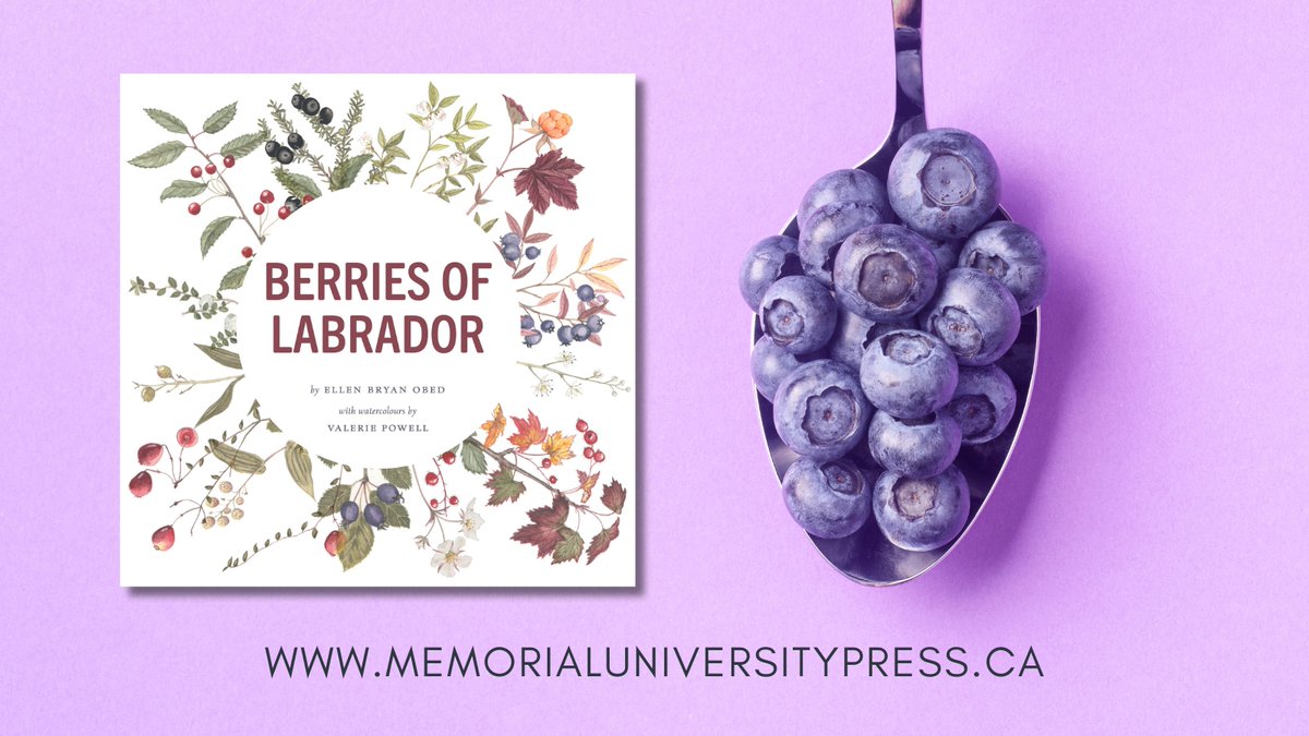 Coming October 15th! 
Berries of Labrador combines storytelling with science to celebrate more than forty species of berries and their various uses, from food to medicine.
Learn more, or pre-order your copy at: memorialuniversitypress.ca/Books/B/Berrie…