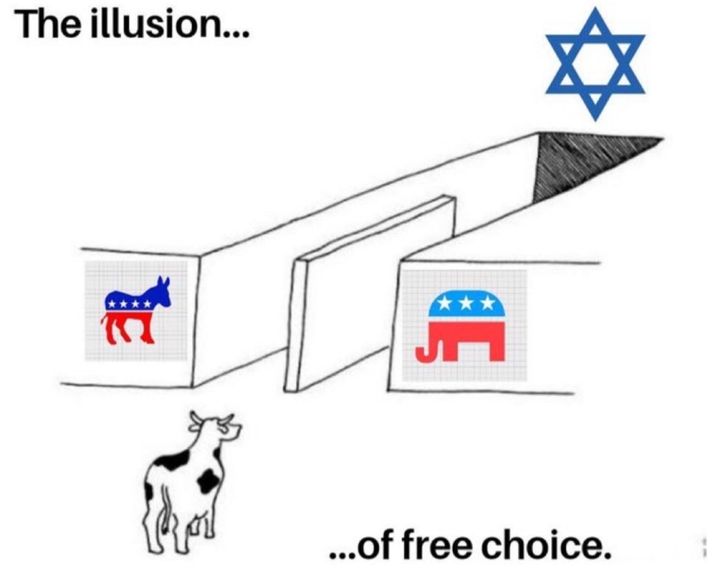 Jan Pierewiet (Brother Bear) (@spikeblue5) on Twitter photo 