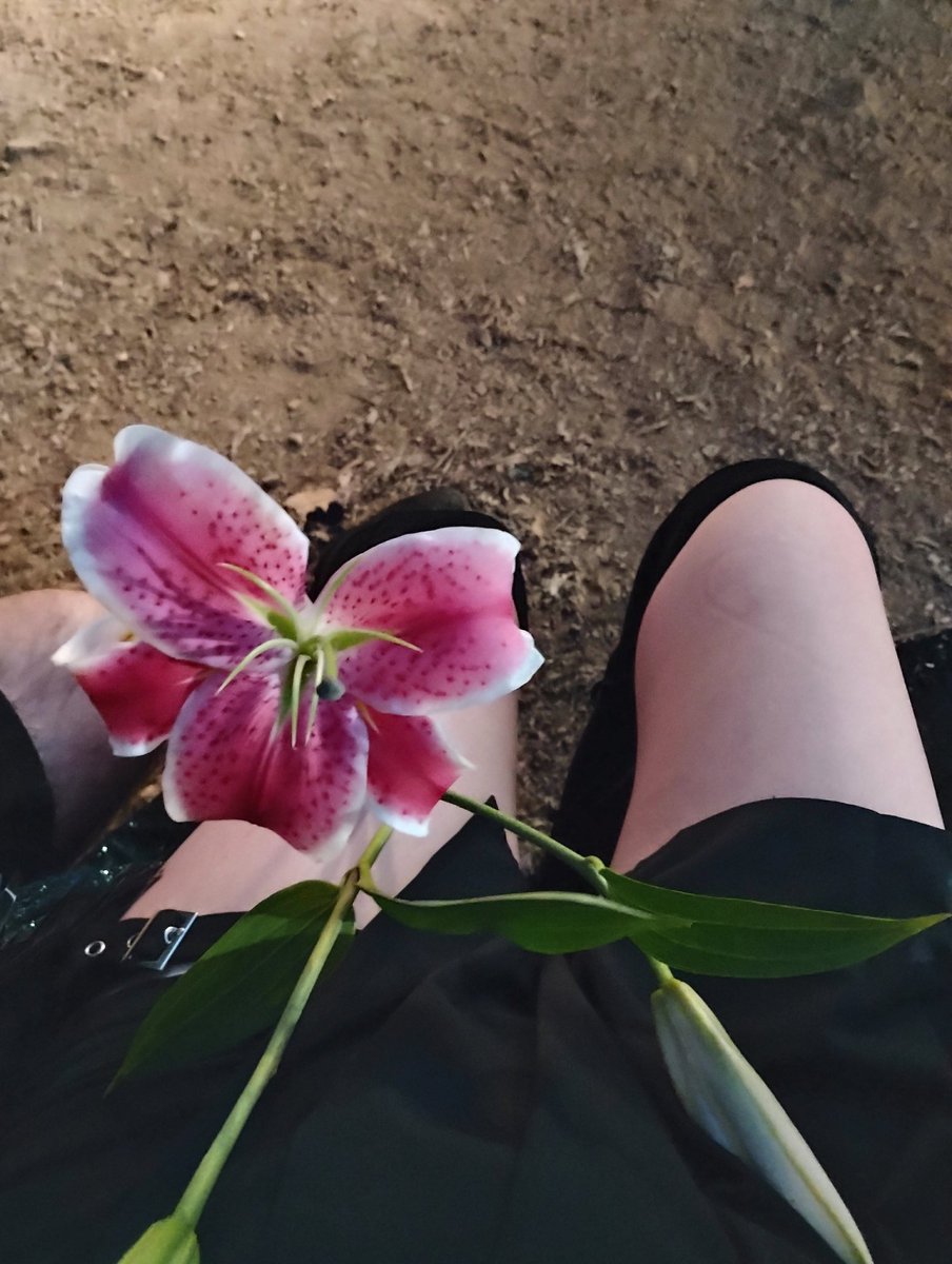💗