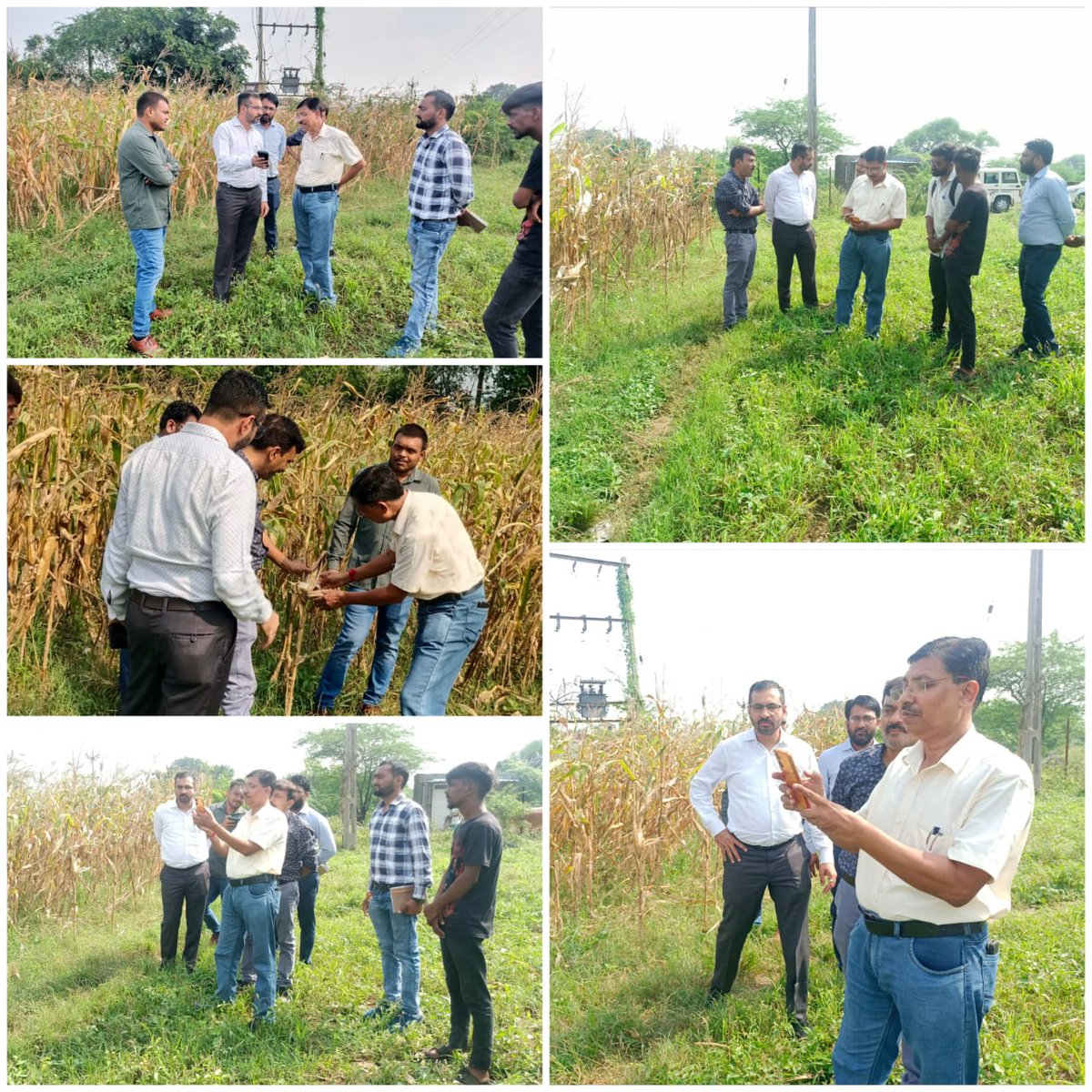 આજ રોજ માન. સંયુક્ત ખેતી નિયામકશ્રી (વિસ્તરણ), વડોદરાએ દાહોદ જિલ્લાની મુલાકાત લઈ ડિજિટલ ક્રોપ સર્વે, ખેતીવાડી ખાતા ની યોજનાકીય કામગીરી, સોઈલ હેલ્થ કાર્ડ, અને ગુણવત્તા નિયંત્રણ કામગીરી ની સમીક્ષા કરી.