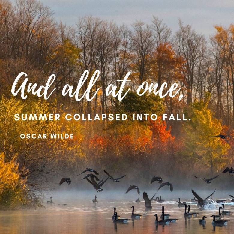 AmmosNewYork's tweet photo. #fallcolors #fallcolours #fallleaves #falltime #falltrees #fallflowers #autumnflowers #autumcolors #autumncolours #autumnleaves #autumnal #autumntime #autumnisintheair #autumnday #autumntree #autumntrees #autumnsunshine #autumnlove #autumnnights #autumnbeauty #autumnfoliage https://t.co/x0xpy6IKFz