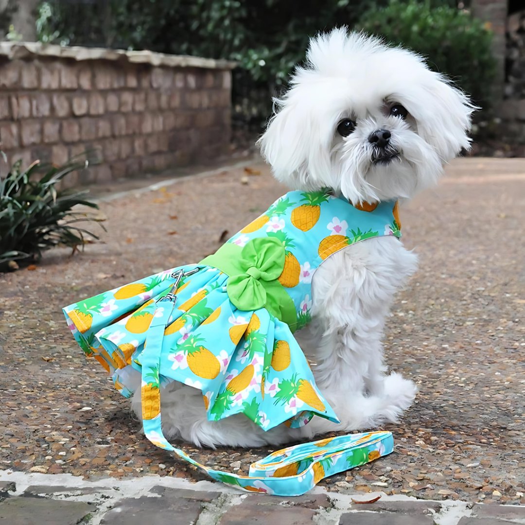 Go_Doggie_Style's tweet photo. Dog parents, is your pup as stylish as they should be? 🐾✨

Elevate your dog's style game with our curated collection at Go Doggie Style! 

🛍️ Explore now and treat your fur baby to the best! 

Shop Now! https://t.co/yHHcbZrT4e 

#GoDoggieStyle #TrendyPups #LuxuryPetFashion #dog https://t.co/qcKG5jUi9b