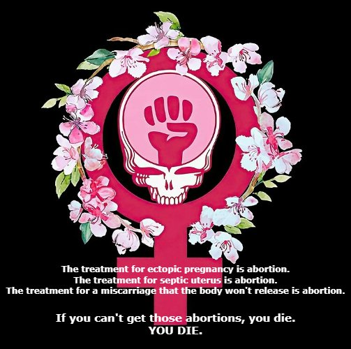 julesbrainstorm's tweet photo. @BartHester @BritMcKenzieAR @SarahHuckabee bunch of lying, grifting, anti-American, ANTI-CONSTITUTION, anti-public school DOMESTIC TERRORISTS. #neverTheocracy #ArkansasWontBackDown #GetSarahOut #FOIA #AbortionIsHealthcare #WeAreNotGoingBack https://t.co/Rx1QiL1owg