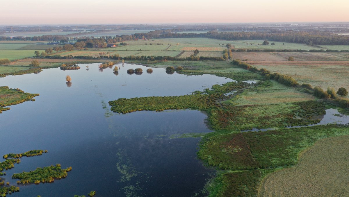 In de Mussenbaan aan de rand van Nationaal Park de Groote Peel werken we aan een betere waterhuishouding. Meer en beter water vast houden, ten behoeve van het hoogveenherstel én leefgebied van vele soorten vogels. Meer lezen (en mee op excursie 9 okt?) boswachtersblog.nl/limburg/2024/1…