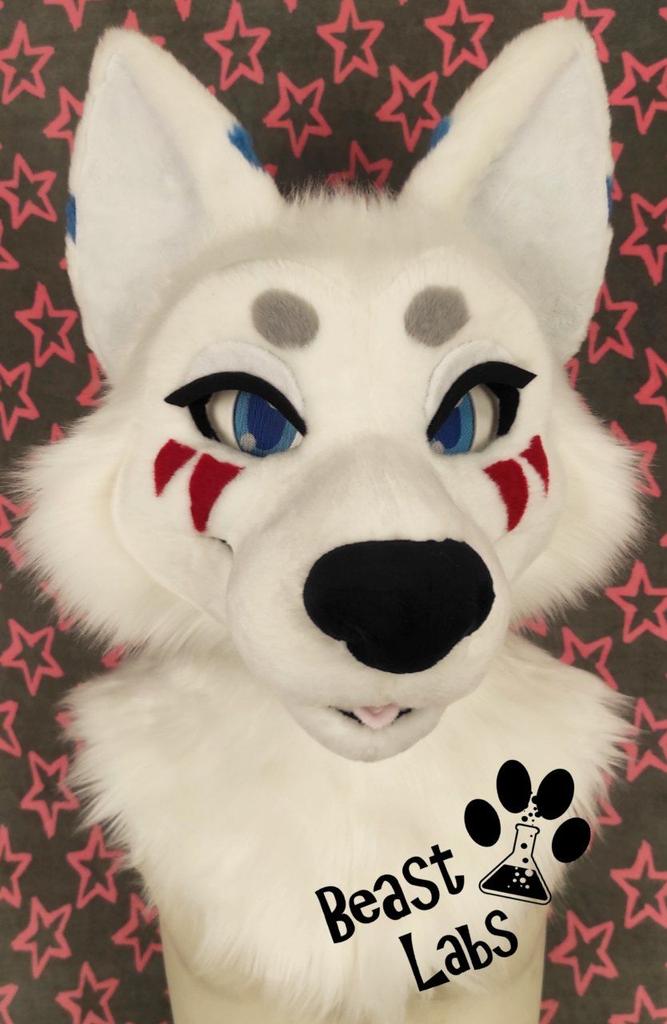 BeastLabsSuits's tweet photo. I see you guys seem to like this one 😸 
Meet Asland, the Wolf!

This will be a full fursuit soon ❤️❤️❤️ 

PIease ❤️🔃🗨️ to supp0rt our work 😸 https://t.co/kgRyM0fhB8