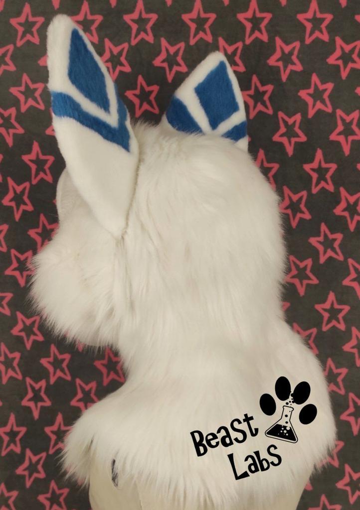 BeastLabsSuits's tweet photo. I see you guys seem to like this one 😸 
Meet Asland, the Wolf!

This will be a full fursuit soon ❤️❤️❤️ 

PIease ❤️🔃🗨️ to supp0rt our work 😸 https://t.co/kgRyM0fhB8