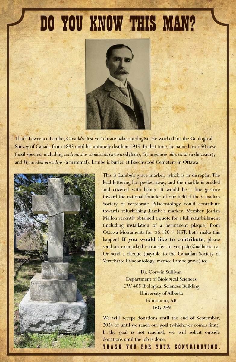 Jordan Mallon tweet media