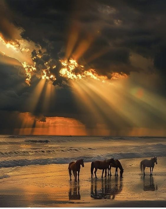 BeachcatTt's tweet photo. Happy Thursday. I pray you have a blessed day. https://t.co/IxtNwCSYi7