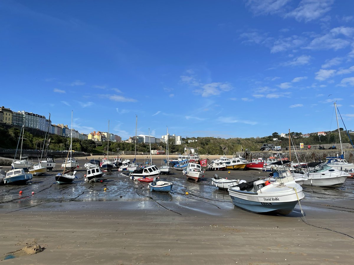 Fran Thomas tweet media