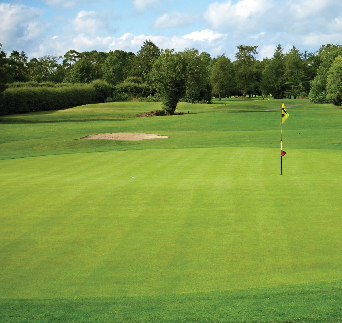 Proven #SnowMould protection. 3 powerful active ingredients. 1 convenient pre-mix. There are lots of reasons Instrata® fungicide is the go-to for supers who need to protect turf quality and manage disease pressure year over year. More at  bit.ly/3EX2SYq