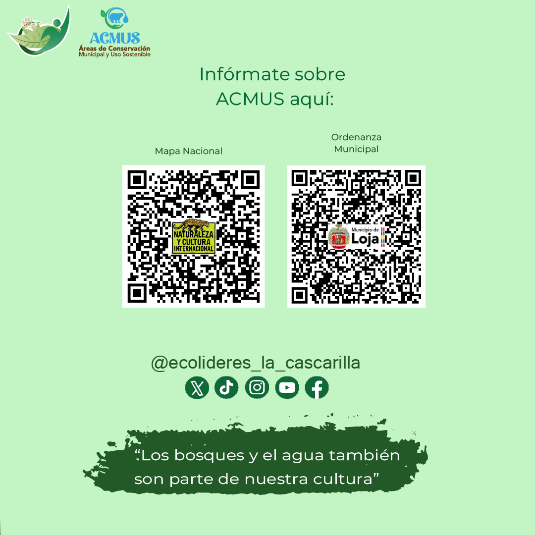 Fundación Ecolíderes “La Cascarilla” tweet media