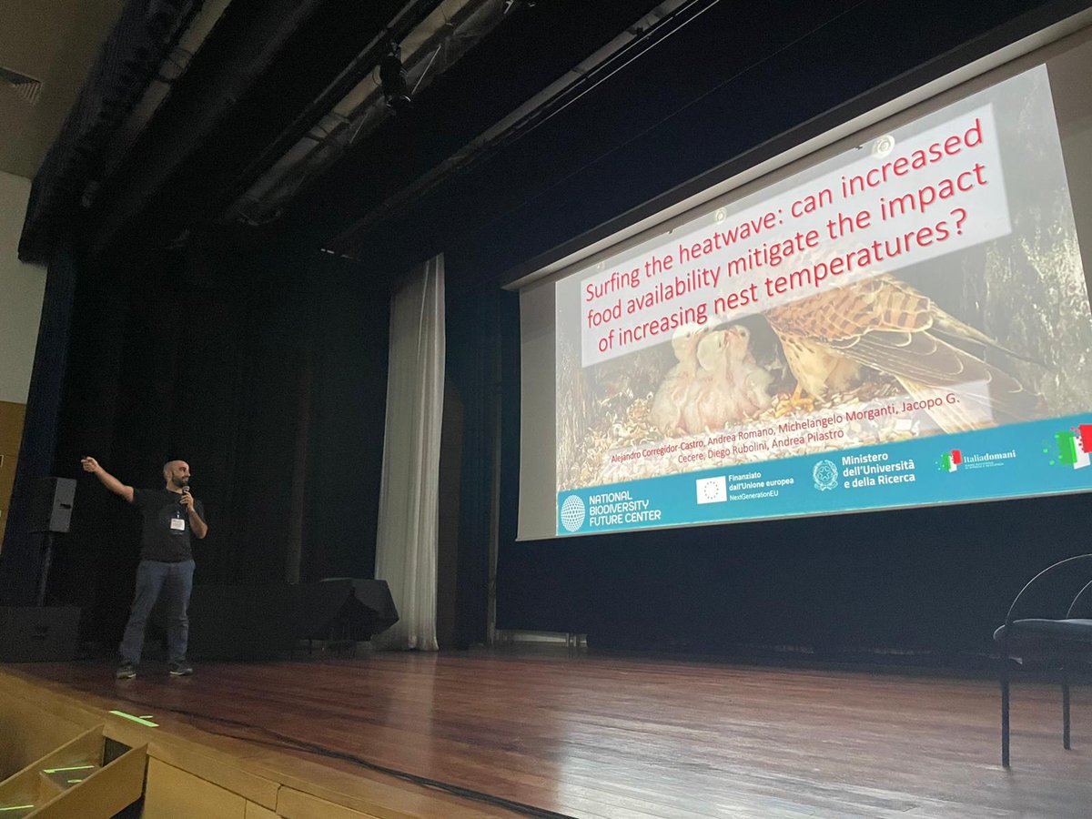 To start the third panel of the day, Alejandro Corregidor-Castro will present his work on the relationship between food availability and the impacts of nest temperature on lesser kestrels!
